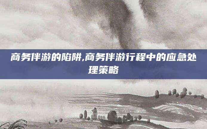 沂南商务伴游的陷阱,商务伴游行程中的应急处理策略